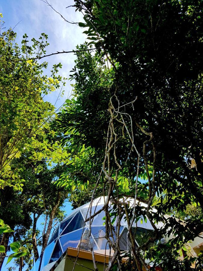Chira Glamping Resort Monteverde Exteriör bild