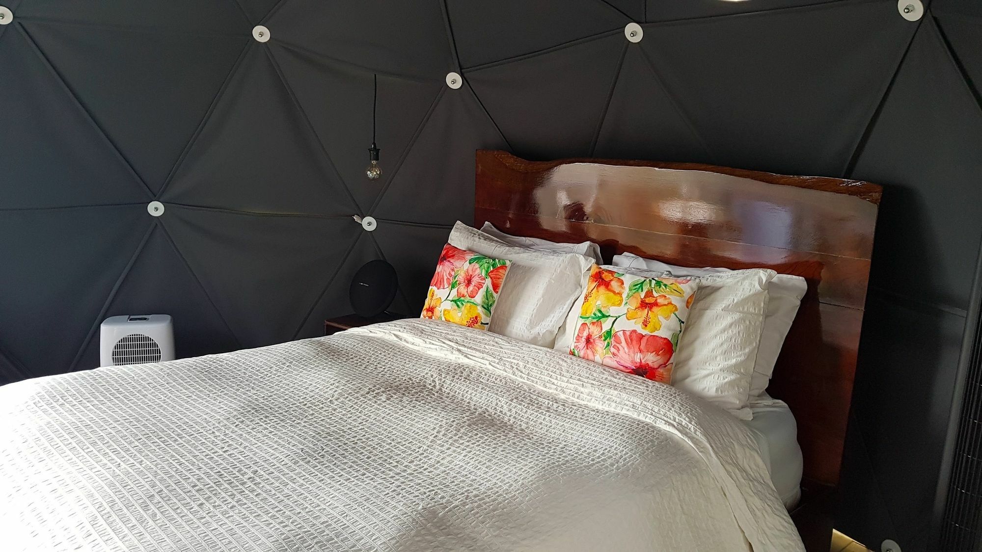 Chira Glamping Resort Monteverde Exteriör bild