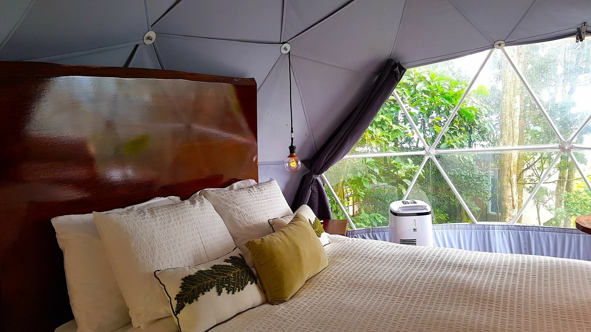 Chira Glamping Resort Monteverde Exteriör bild