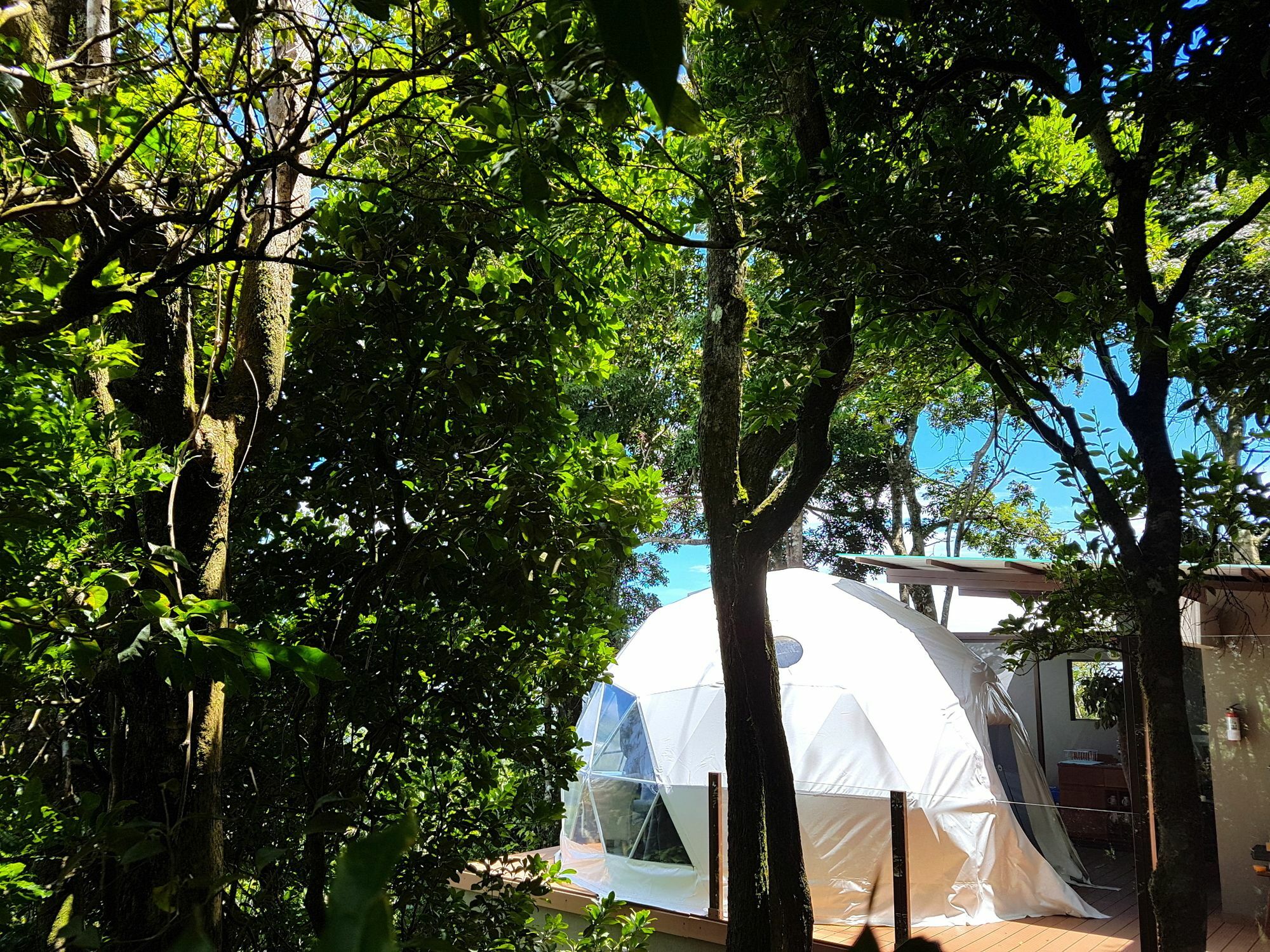 Chira Glamping Resort Monteverde Exteriör bild