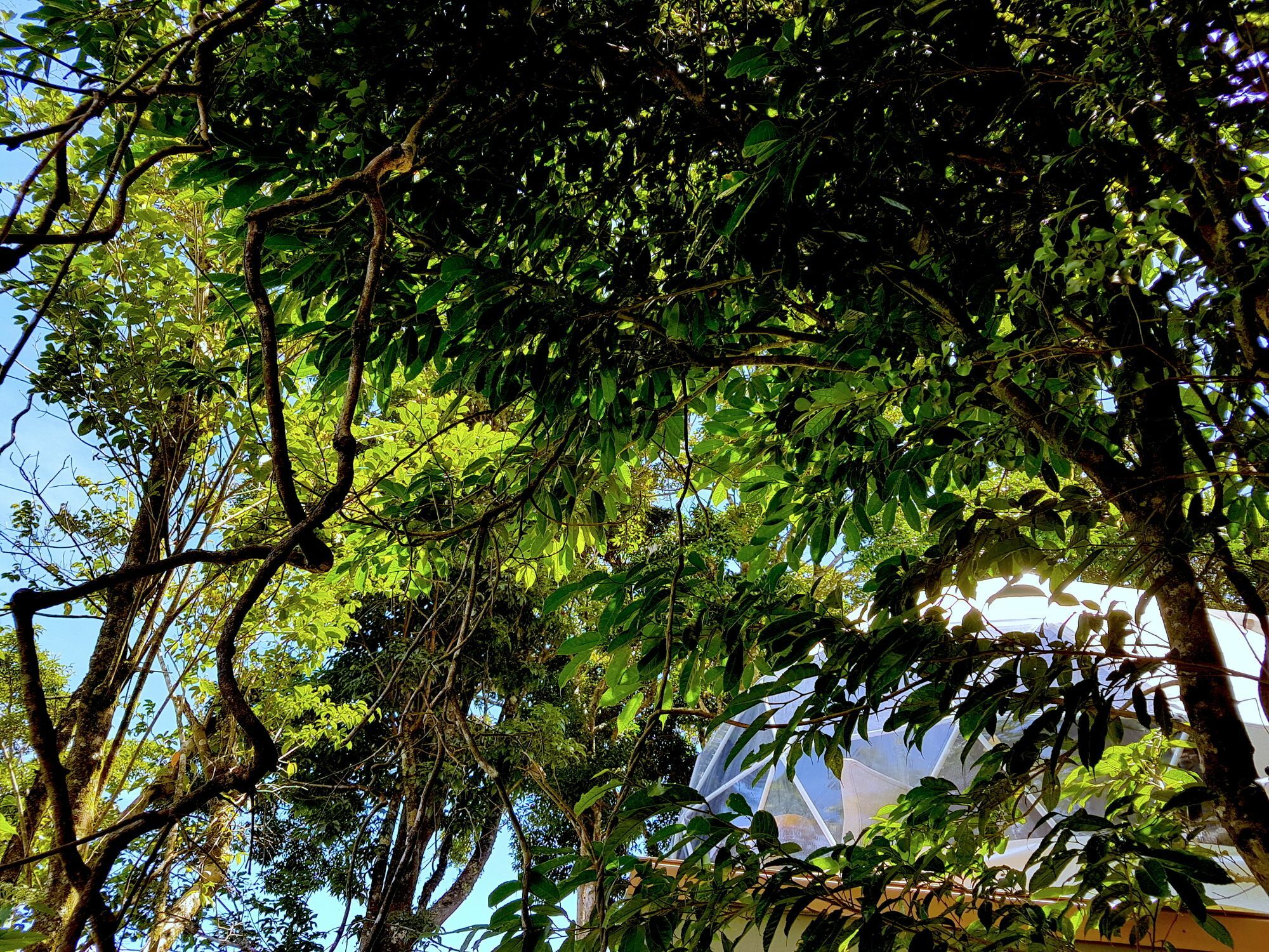 Chira Glamping Resort Monteverde Exteriör bild