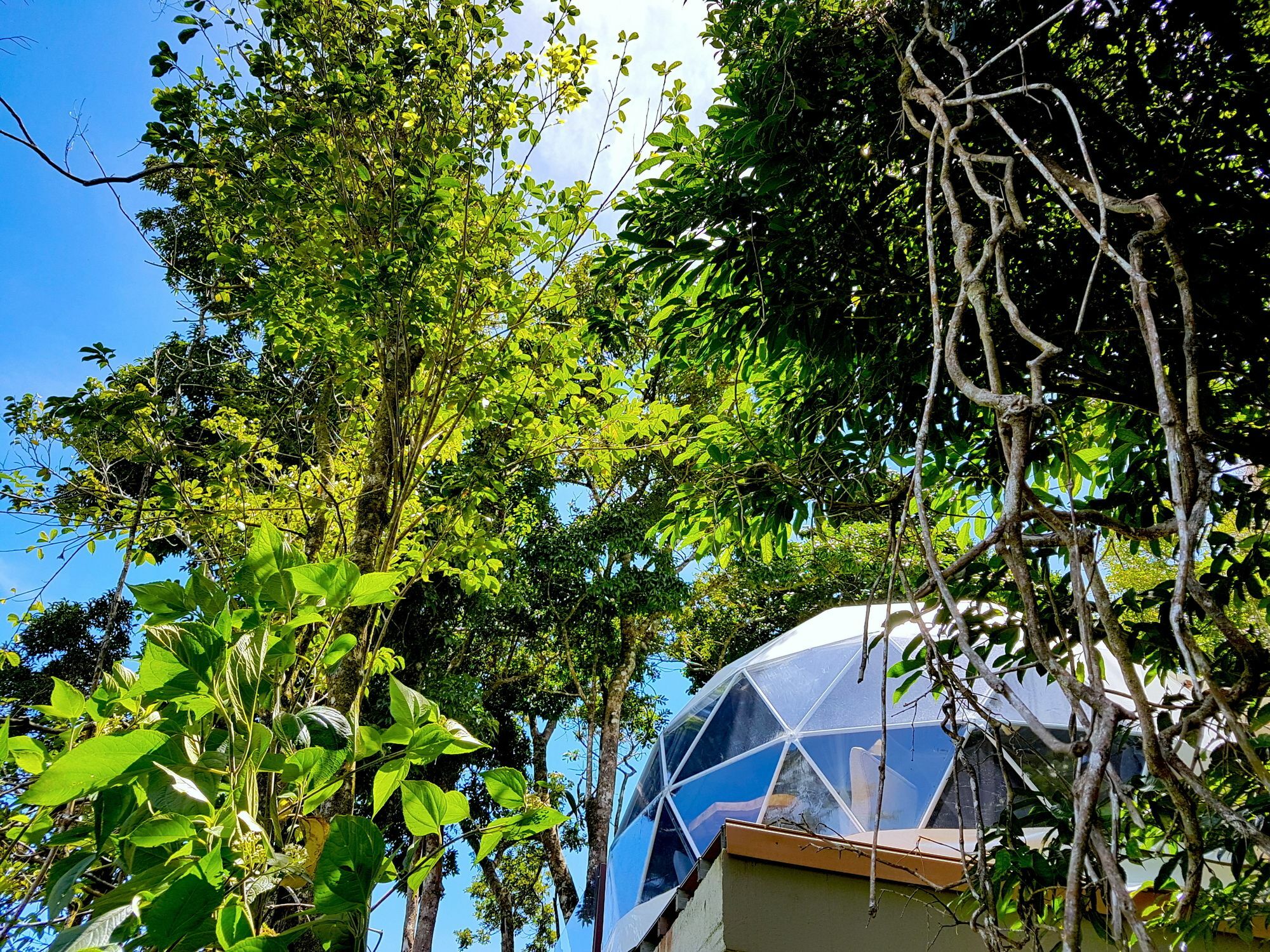 Chira Glamping Resort Monteverde Exteriör bild